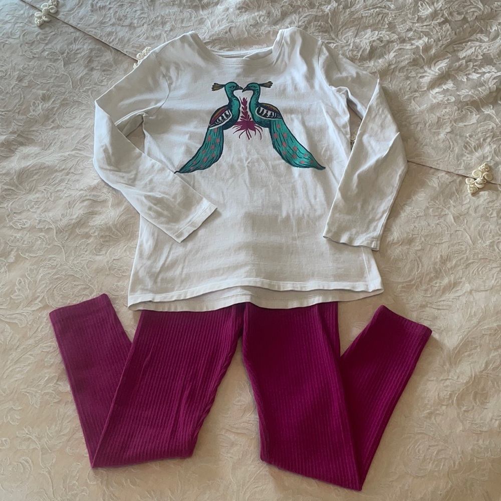TEA COLLECTION Shirt and Leggings Size 8